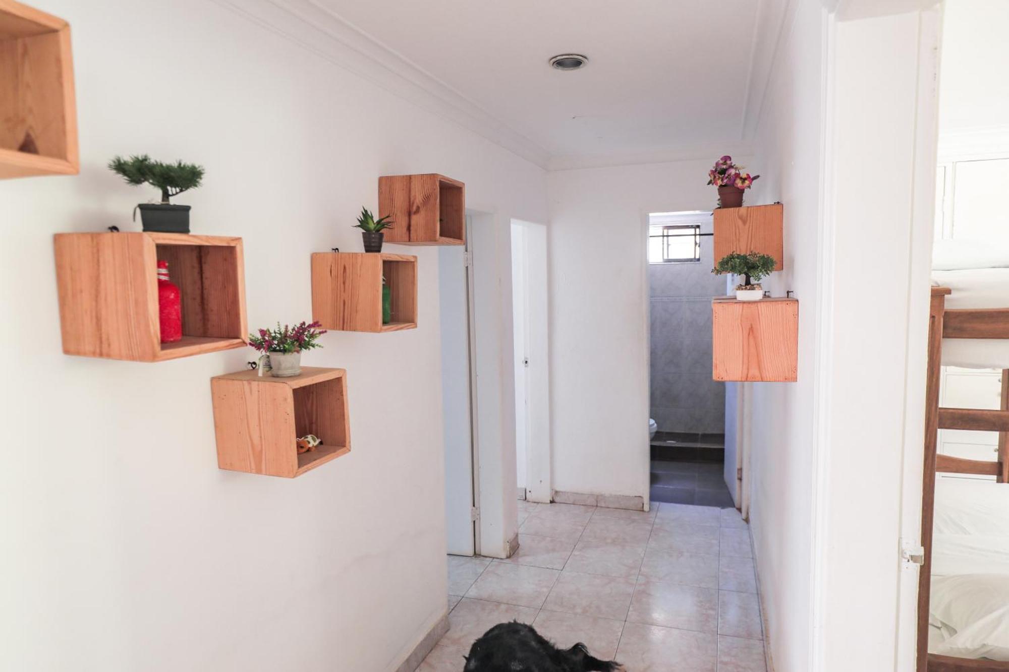 Hostal Palo Alto San Andrés Buitenkant foto